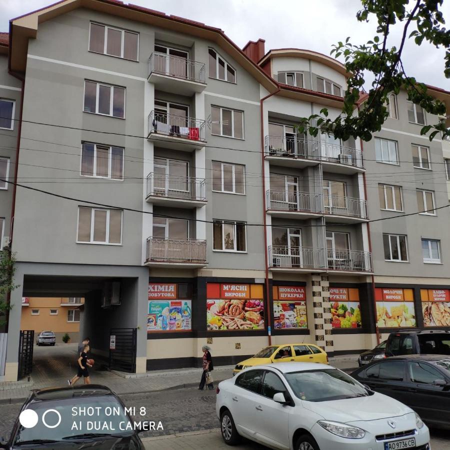 Apartments "Domovik" Івана Парканія 2А Кв 19 穆卡切沃 外观 照片